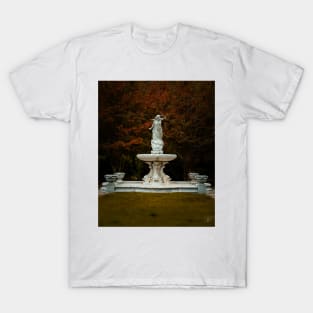 Lenora Myers Starling Fountain in Columbus Georgia T-Shirt